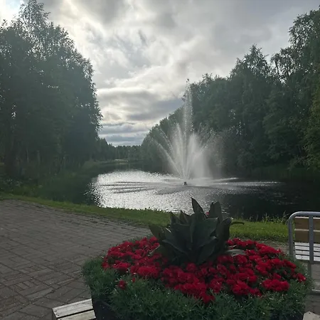 Night Sky - Ivalo, Modern In The Center *